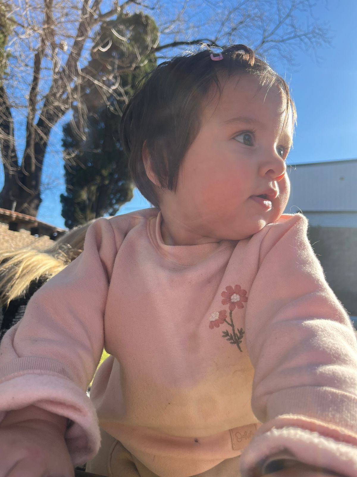 WhatsApp Image 2025-07-20 at 12.21.08(1).jpeg